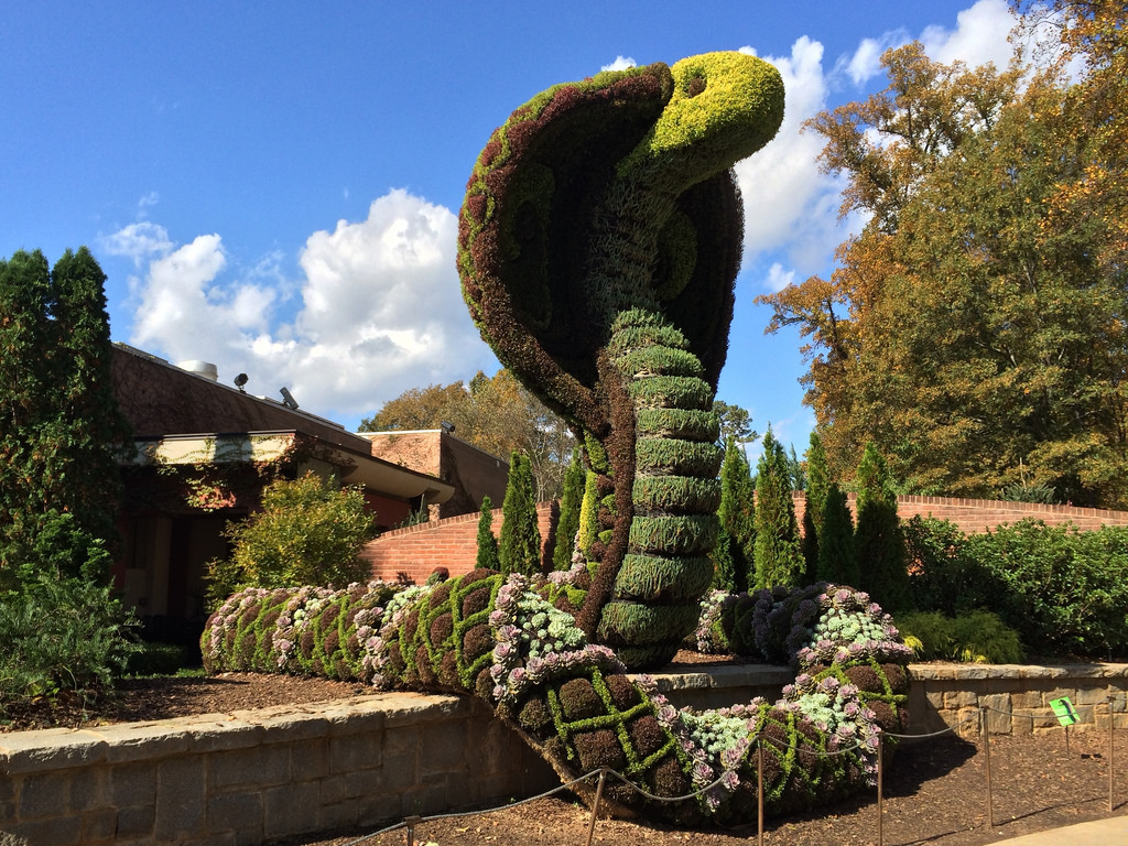 Giant Cobra Snake Made of Plants by Lee Edwin Coursey, on Flickr