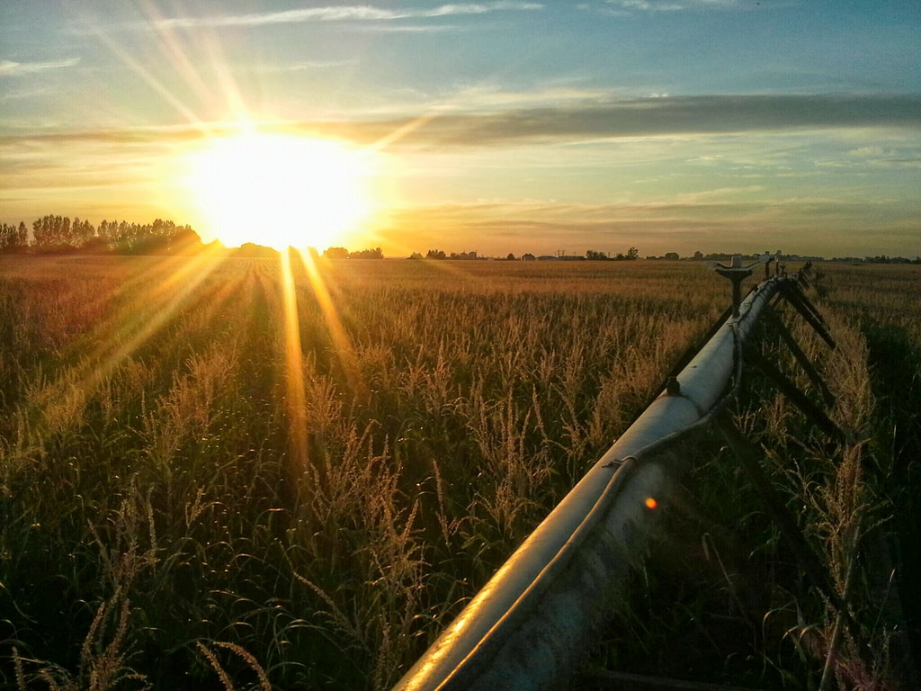 sunset over corn field by thejesse, on Flickr