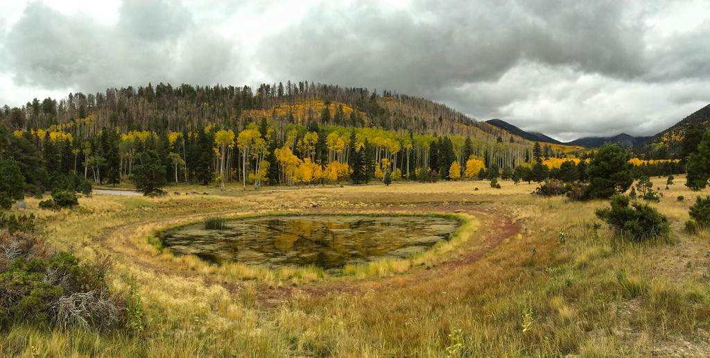 Lockett Meadow Tank by Coconino National Forest, on Flickr