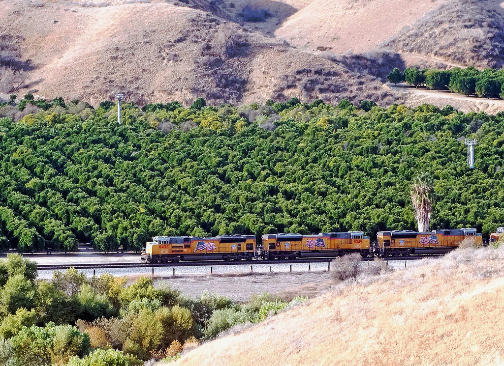 Union Pacific & Orange Groves, Redlands, by inkknife_2000 (8 million views +), on Flickr