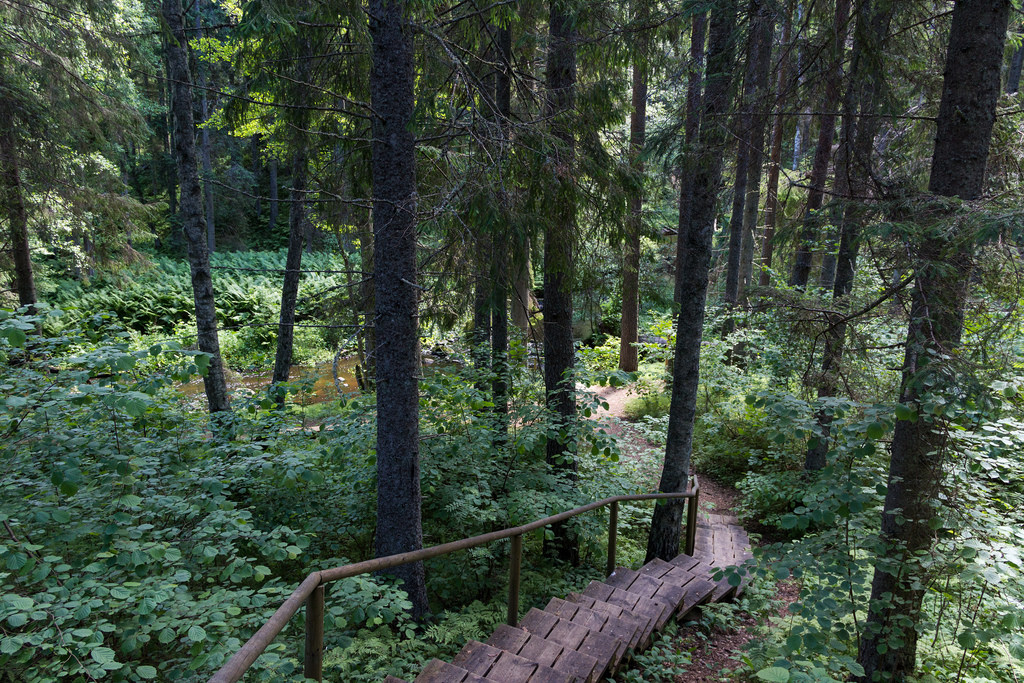 Oandu Old-Growth Forest Nature Trail by Falling Outside The Normal Moral Constraints, on Flickr