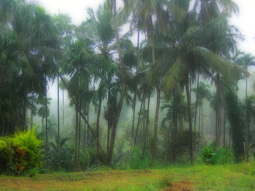 Monsoon - Karnataka by antkriz, on Flickr