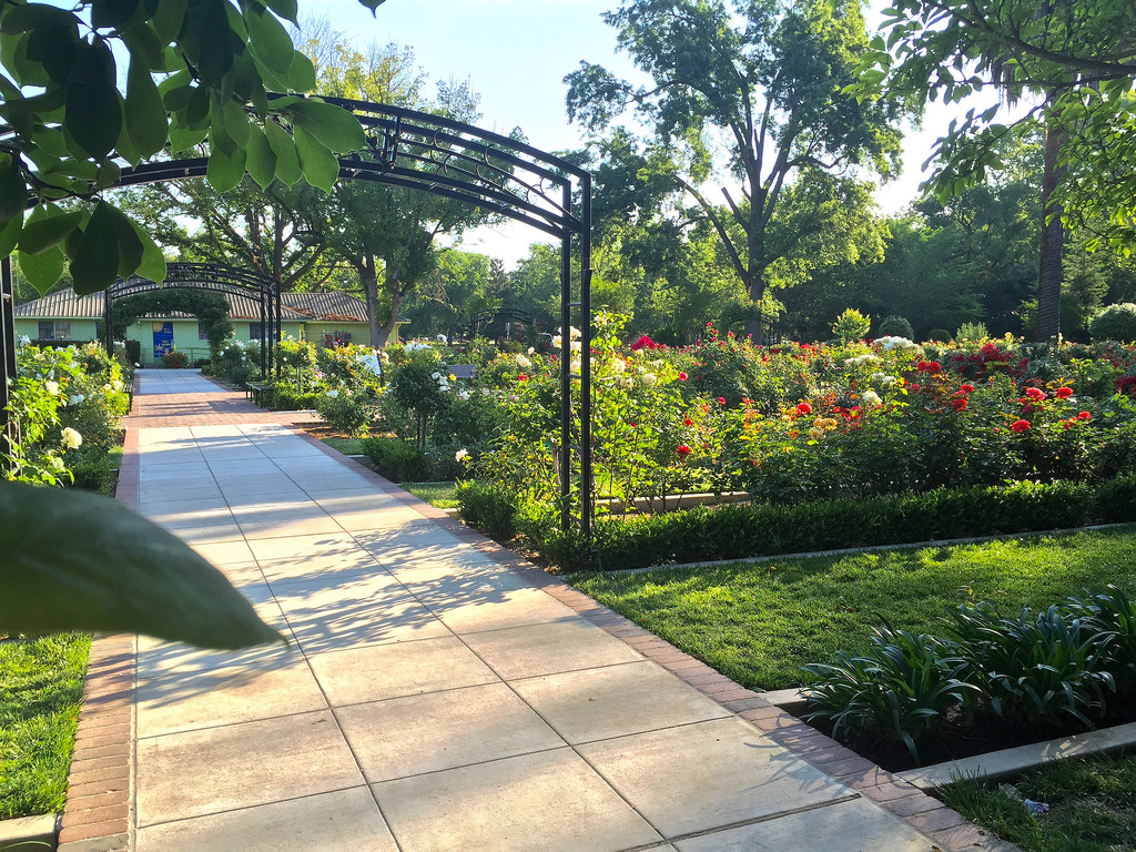 McKinley Park Rose Garden, Sacramento CA by Greg Balzer, on Flickr