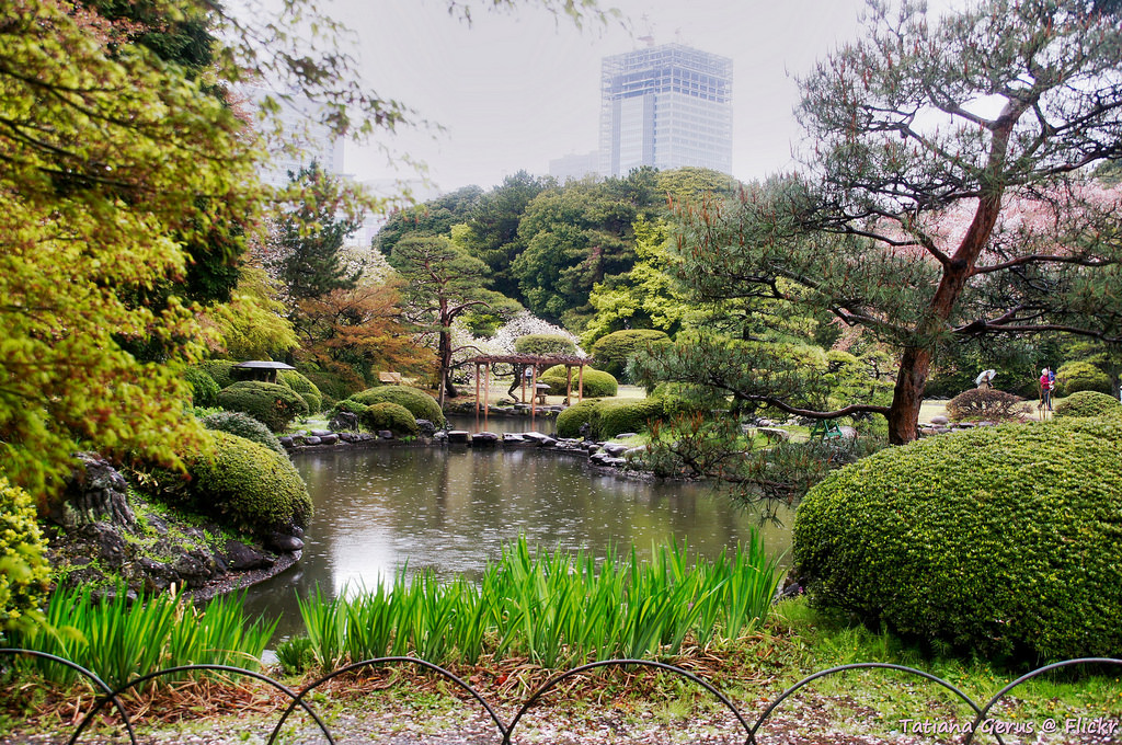 Shinjuku Gyoen National Garden by Tatters ✾, on Flickr
