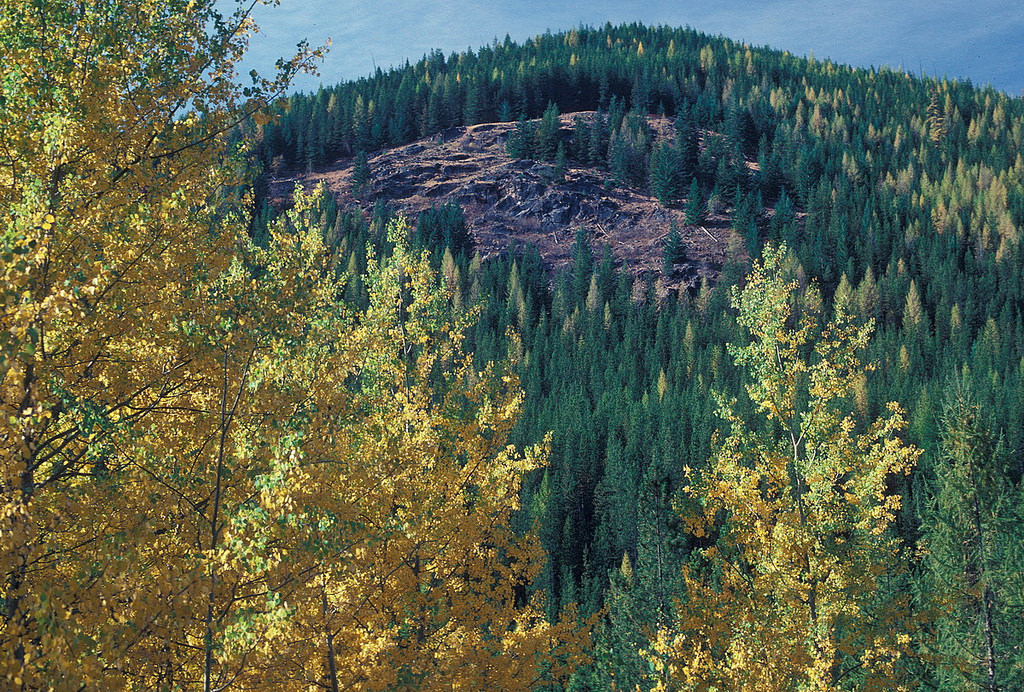 Fall Color 1-Colville National Forest by Forest Service Pacific Northwest Region, on Flickr