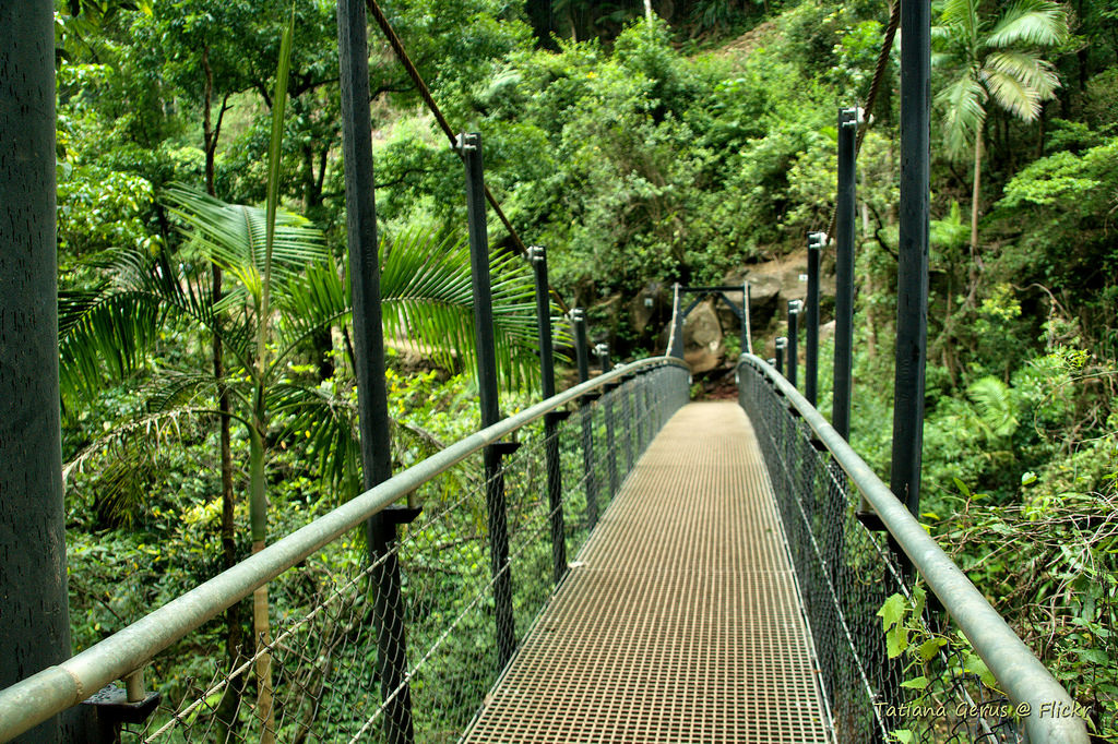 Bridge below Purling Brook Falls by Tatters 10mln views-10 years, on Flickr