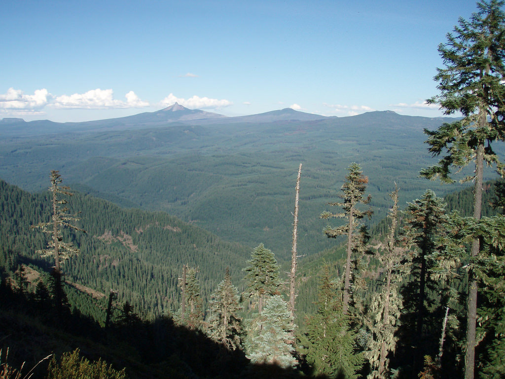 Landscape_Sjohnson2 by Oregon State University, on Flickr