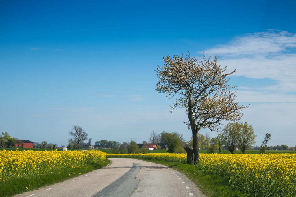 Country Road by Infomastern, on Flickr