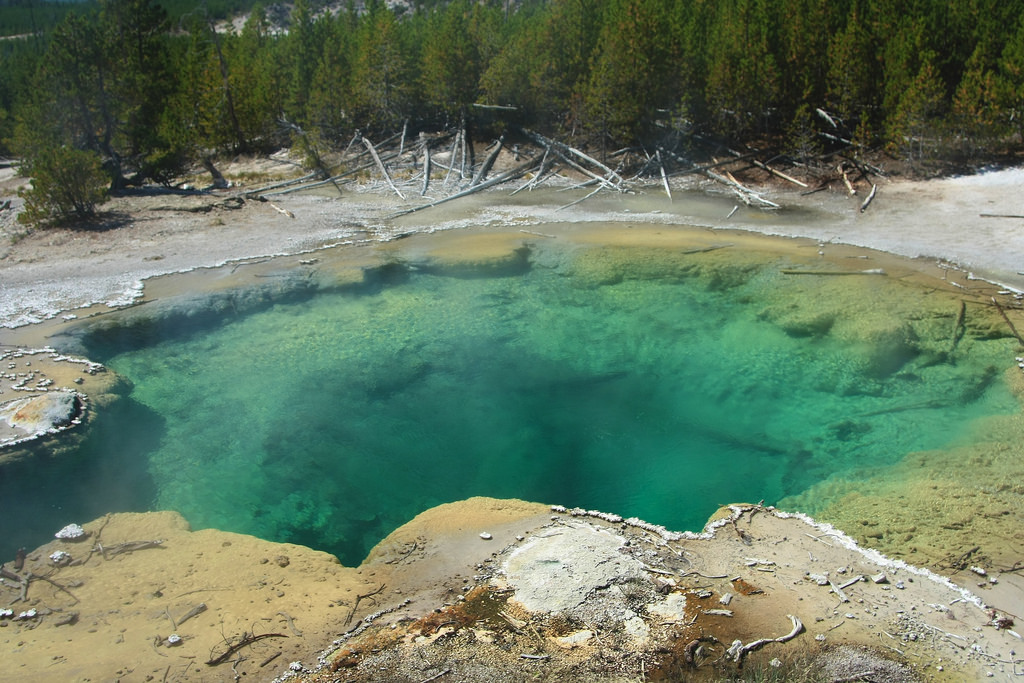 Emerald Spring : Yellowstone by grtaylor2, on Flickr