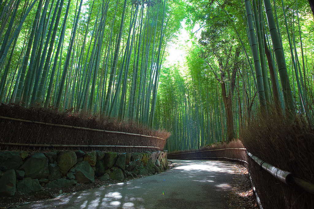 Sagano Bamboo forest, Arashiyama, Kyoto by caseyyee, on Flickr