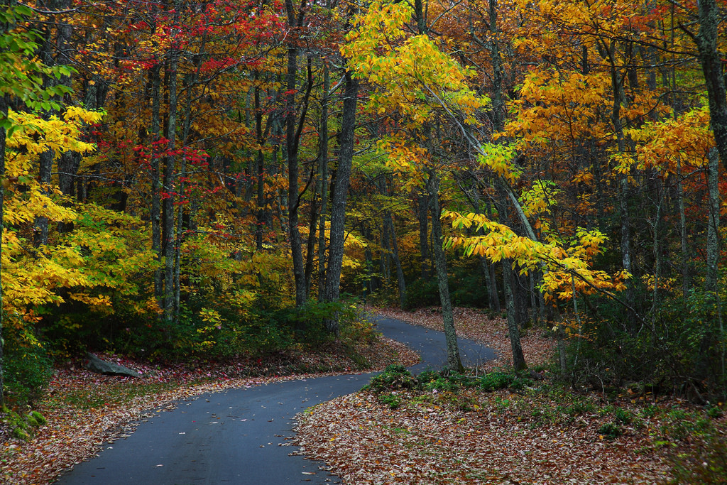 Autumn Winding Road by ForestWander.com, on Flickr