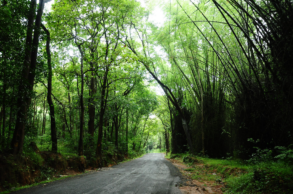 Muthanga forest range by Kamaljith, on Flickr