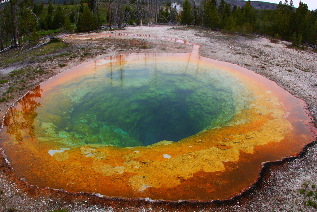 Morning Glory Pool, Yellowstone National by daveynin, on Flickr