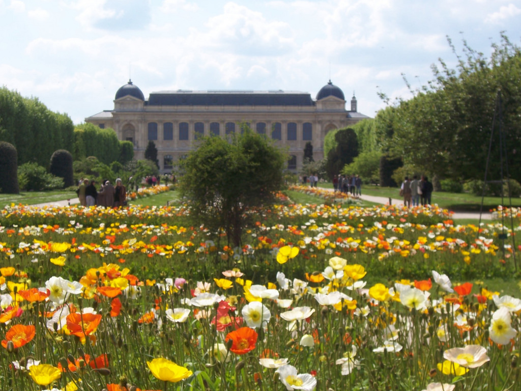 Popies at the Jardin des Plantes by www.Paris-Sharing.com, on Flickr