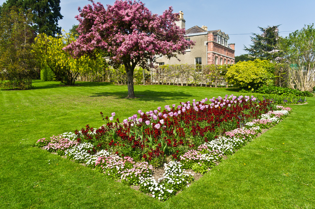 The Botanic Gardens - Dublin, Ireland by infomatique, on Flickr