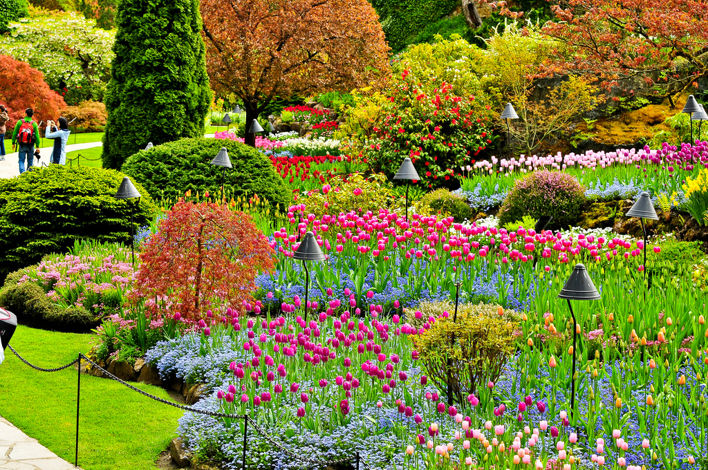Butchart Garden by i2n2, on Flickr