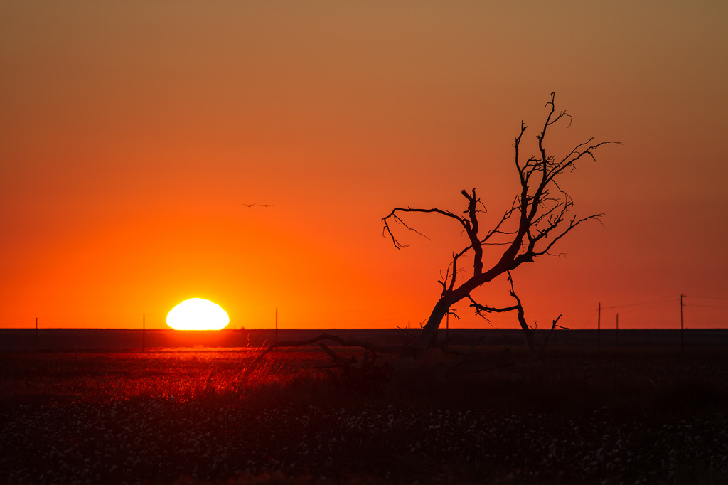 Sunrise: West Texas Style by StuSeeger, on Flickr