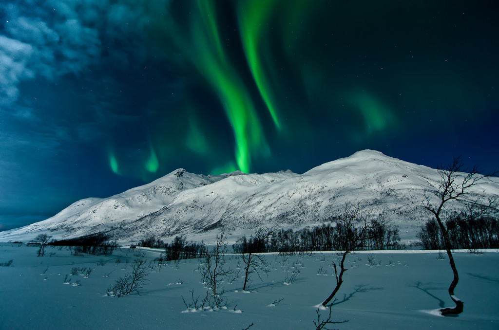 Aurora Borealis by Andi Gentsch, on Flickr