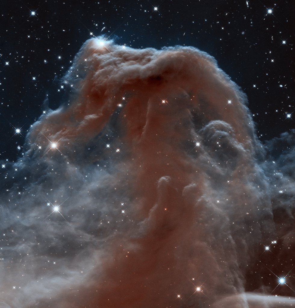 Infrared Horsehead Nebula by Hubble Heritage, on Flickr