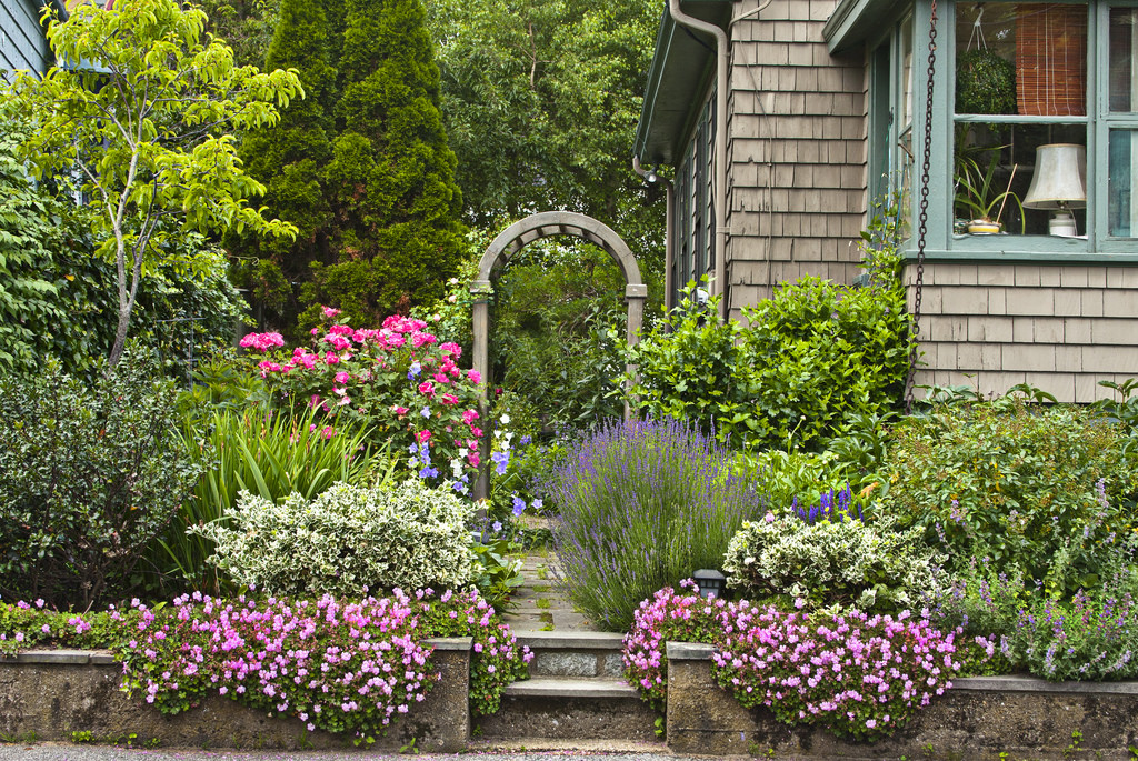 dooryard garden by Muffet, on Flickr