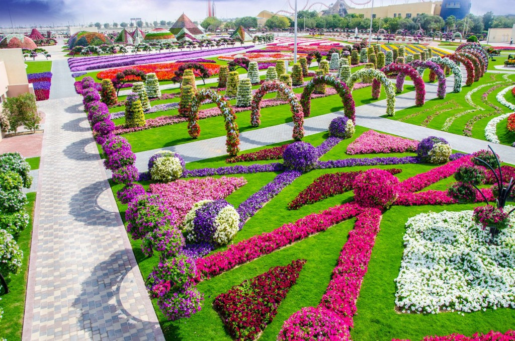 Miracle Garden by Srilathablog, on Flickr