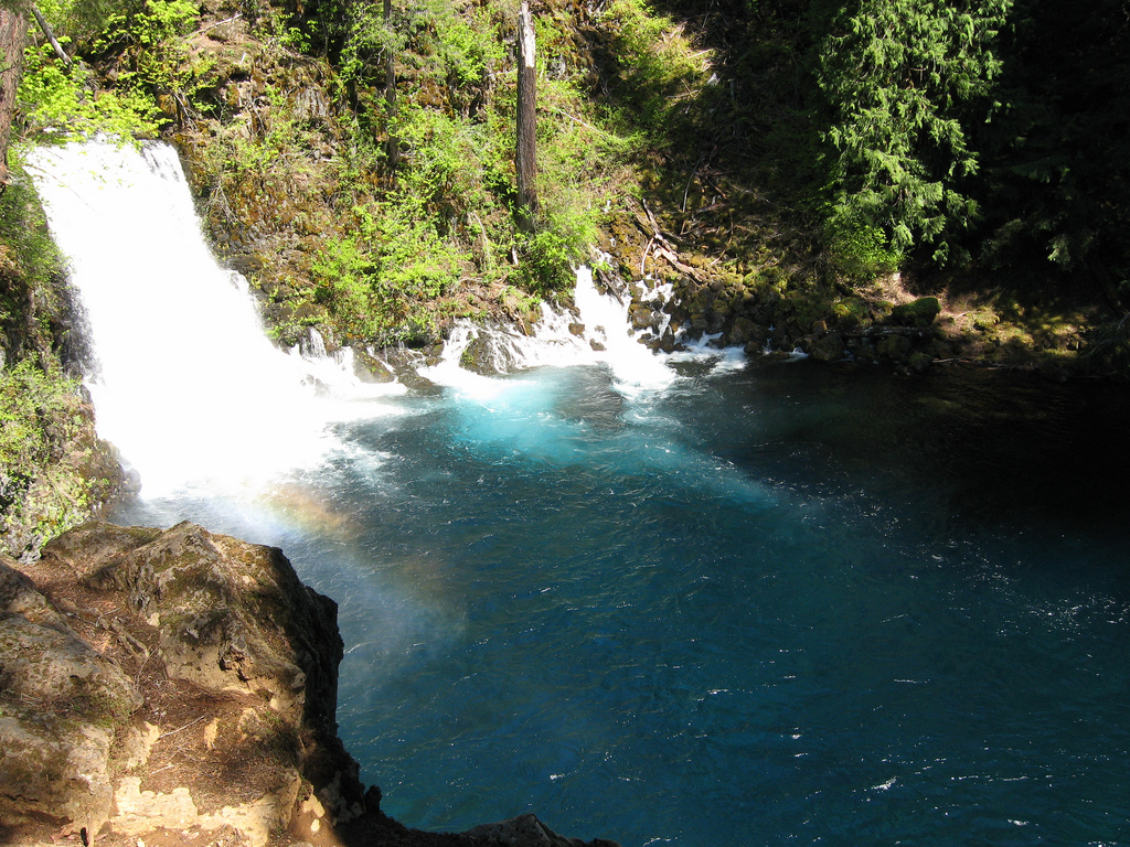 Bull trout Tamolitch Falls with water fr by USDAgov, on Flickr