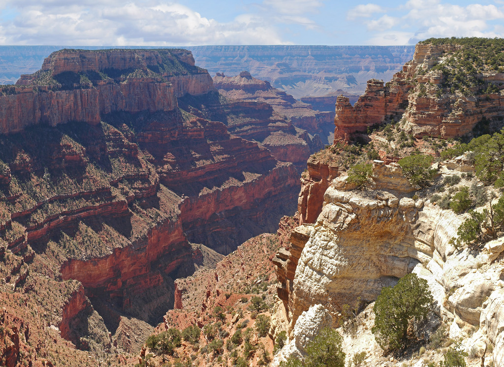Grand Canyon National Park: View from Ca by Grand Canyon NPS, on Flickr