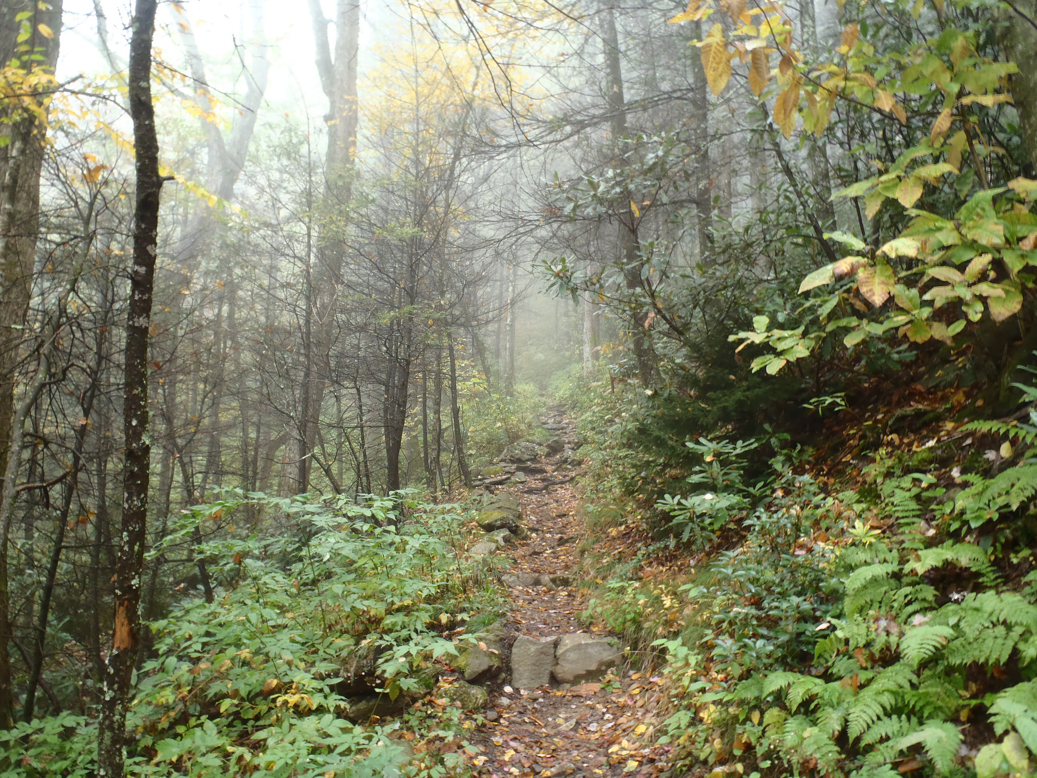 Great Smoky Mountains National Park by maspangler, on Flickr