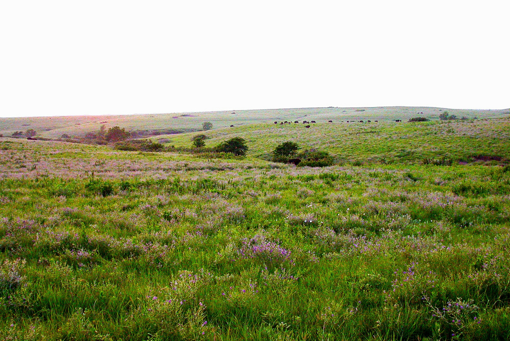 Great Plains LCC by USFWS Headquarters, on Flickr