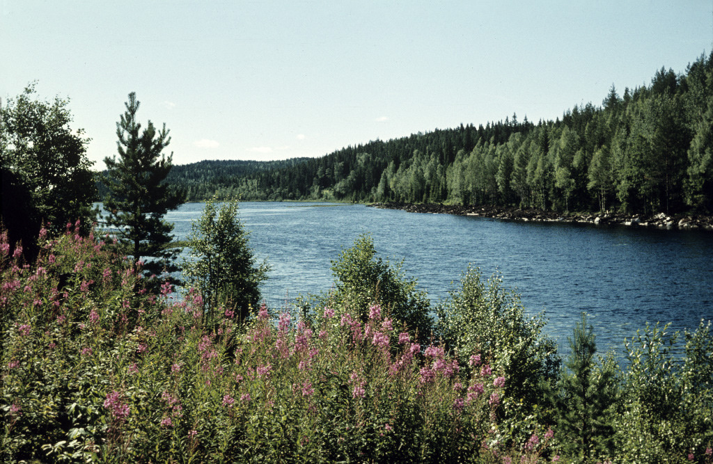 Lake Smalsjön, Dalarna, Sweden by Swedish National Heritage Board, on Flickr