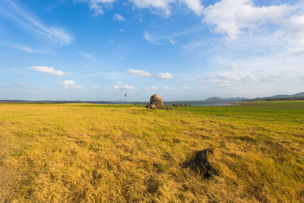 Minneriya National Park Sri Lanka by dkolitha, on Flickr