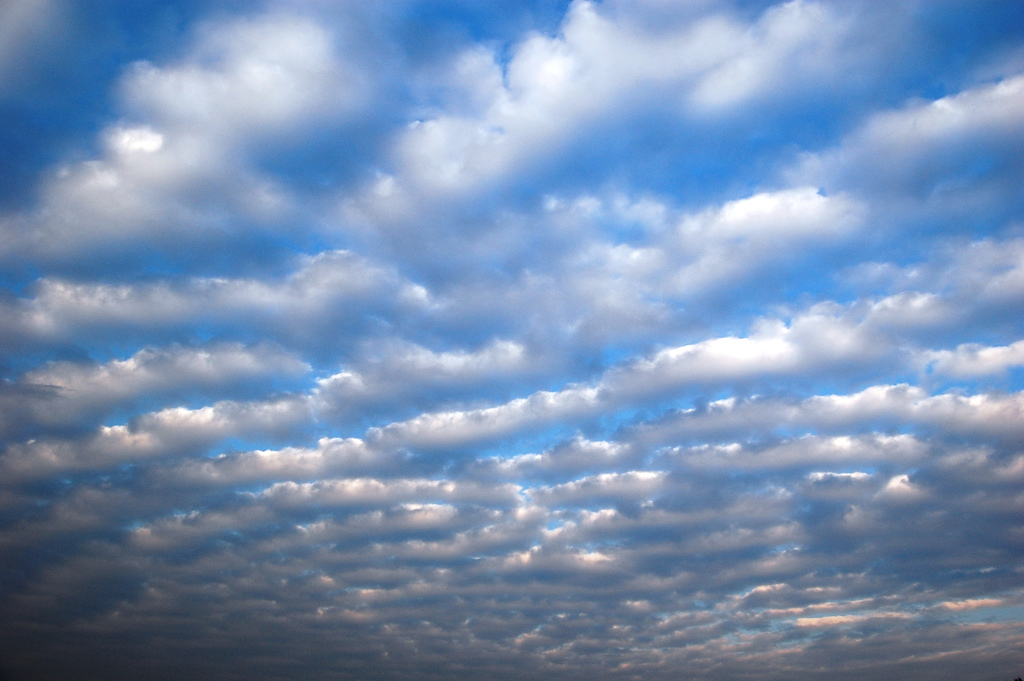Crazy Cirrus Clouds by wyntuition, on Flickr