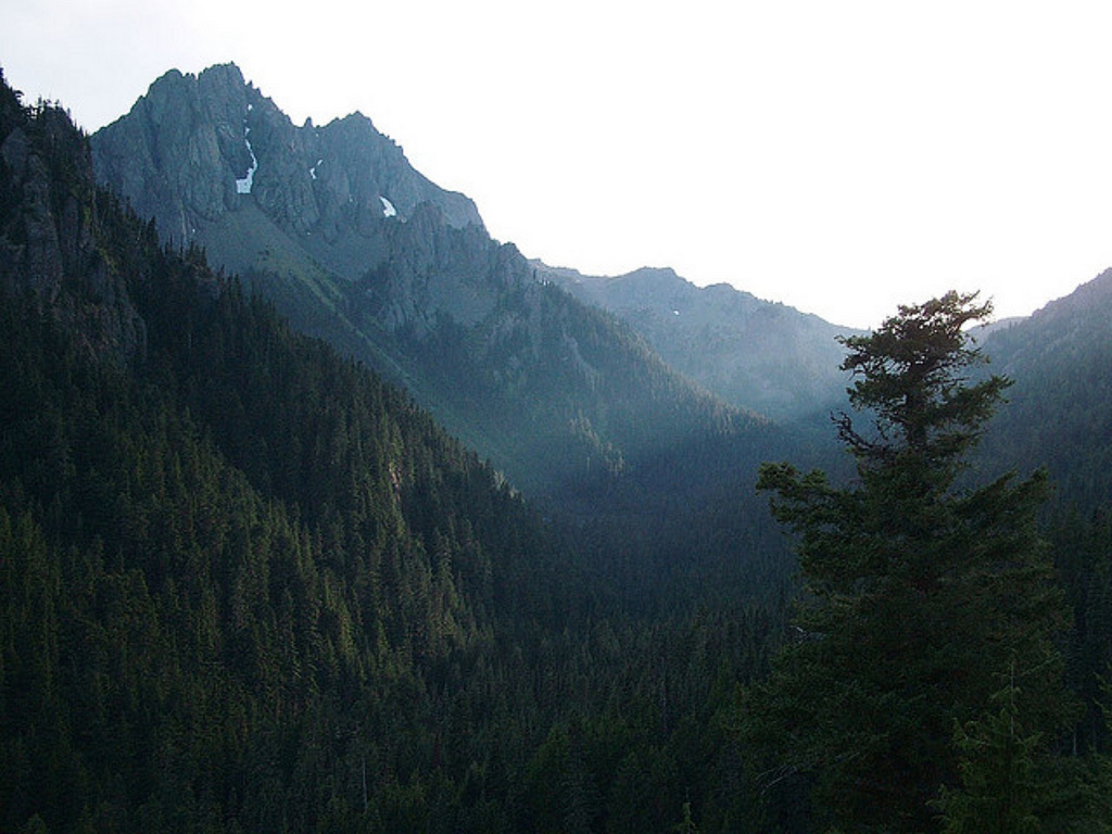 Buckhorn Mountain, Olympic National Fore by Forest Service Pacific Northwest Region, on Flickr