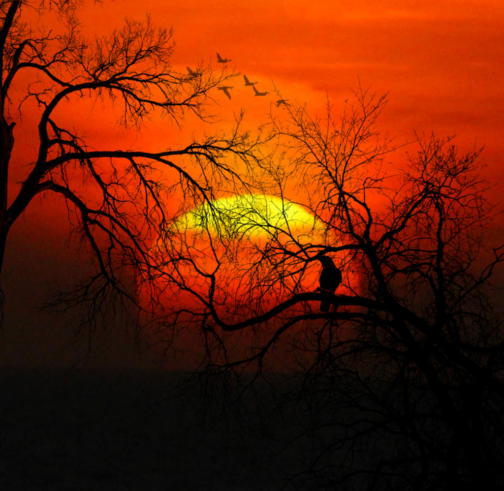 last spring sunset by Luz Adriana Villa A., on Flickr
