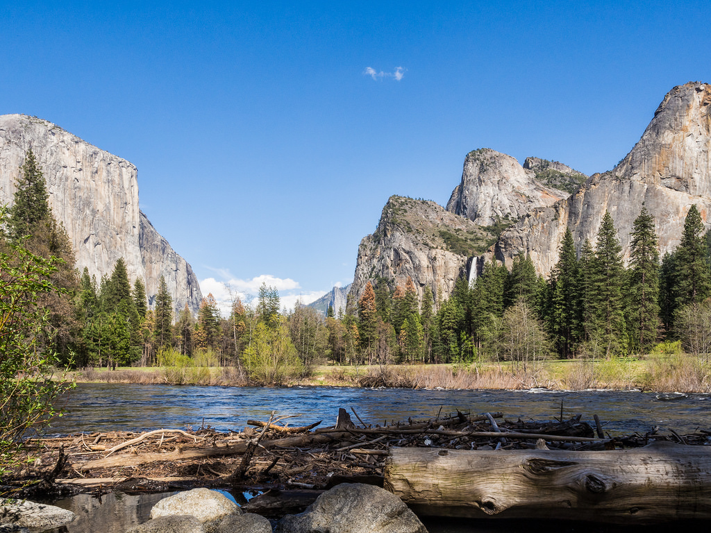 Yosemite National Park by mdalmuld, on Flickr