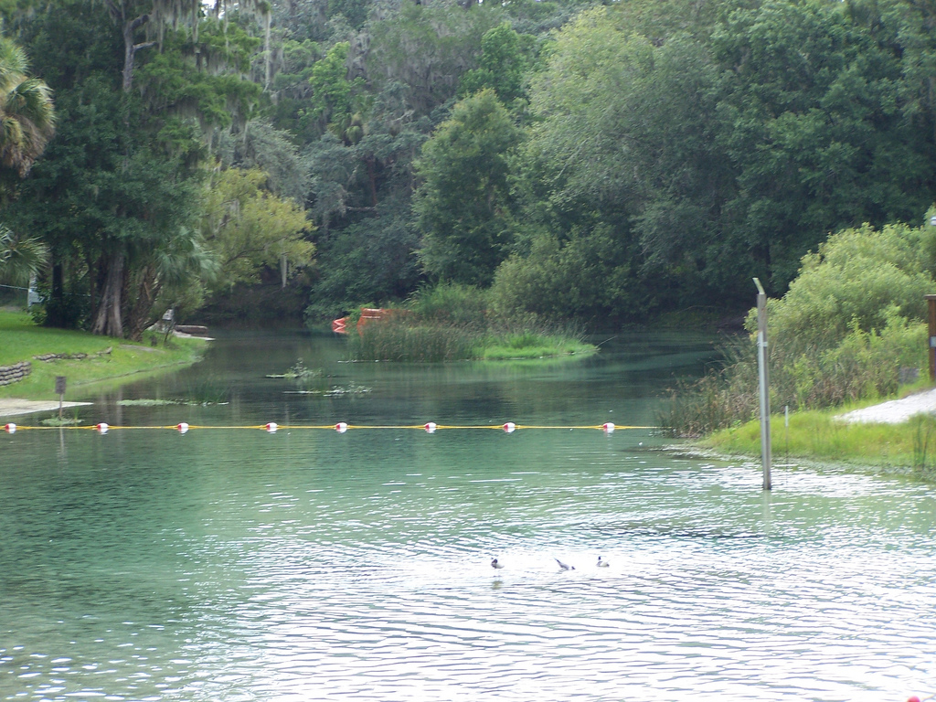 Lithia Springs Park (Hillsborough County by systemslibrarian, on Flickr