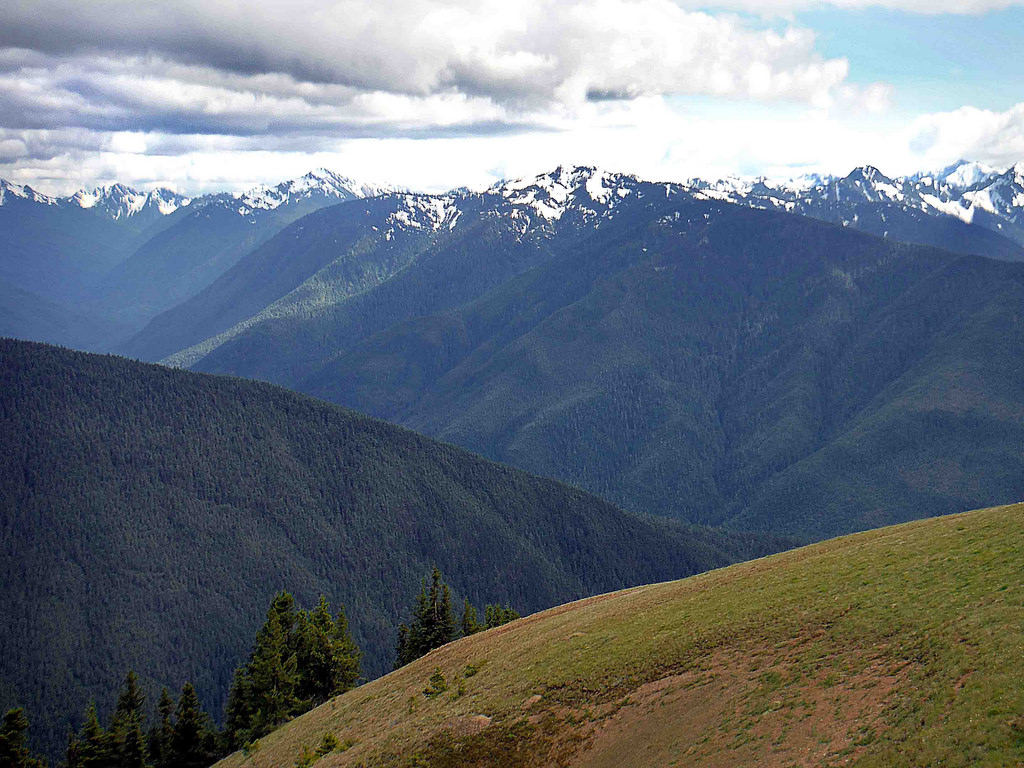 Hurrican Ridge, Olympic National Park, W by photogirl7.1, on Flickr
