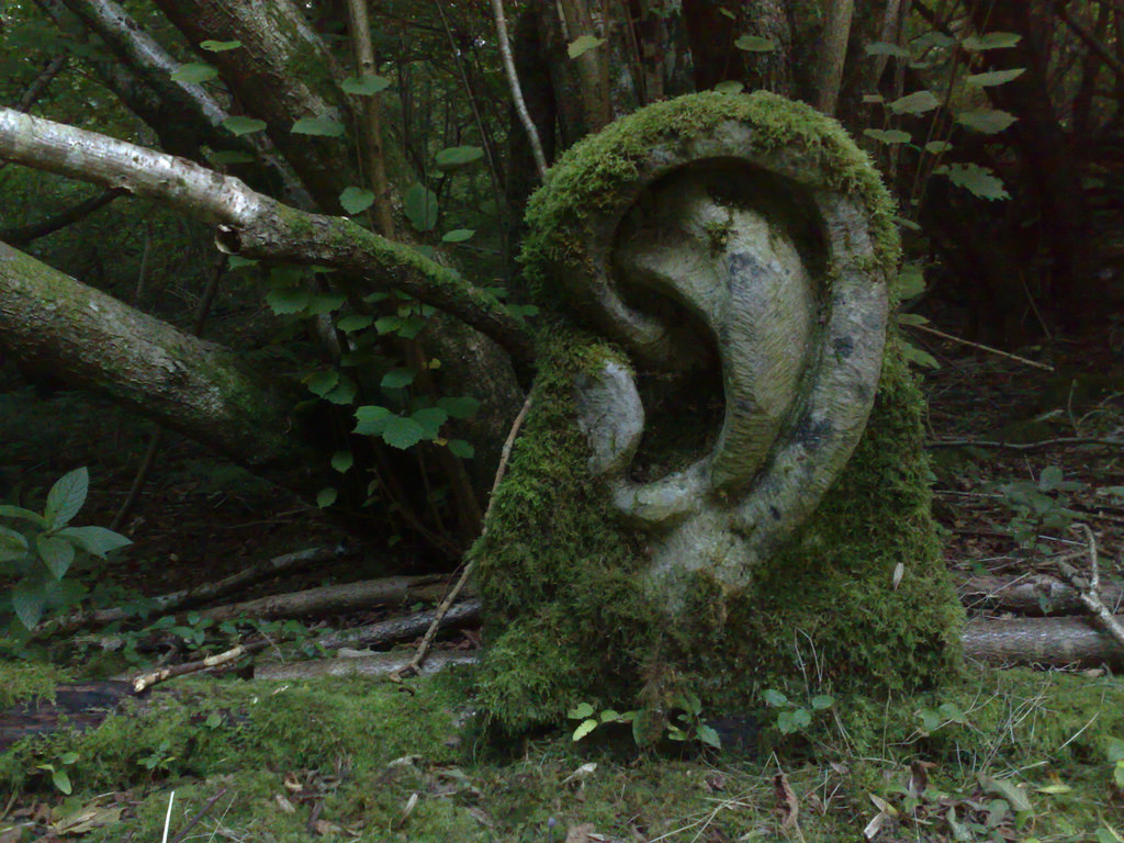 ear sculpture by activefree, on Flickr