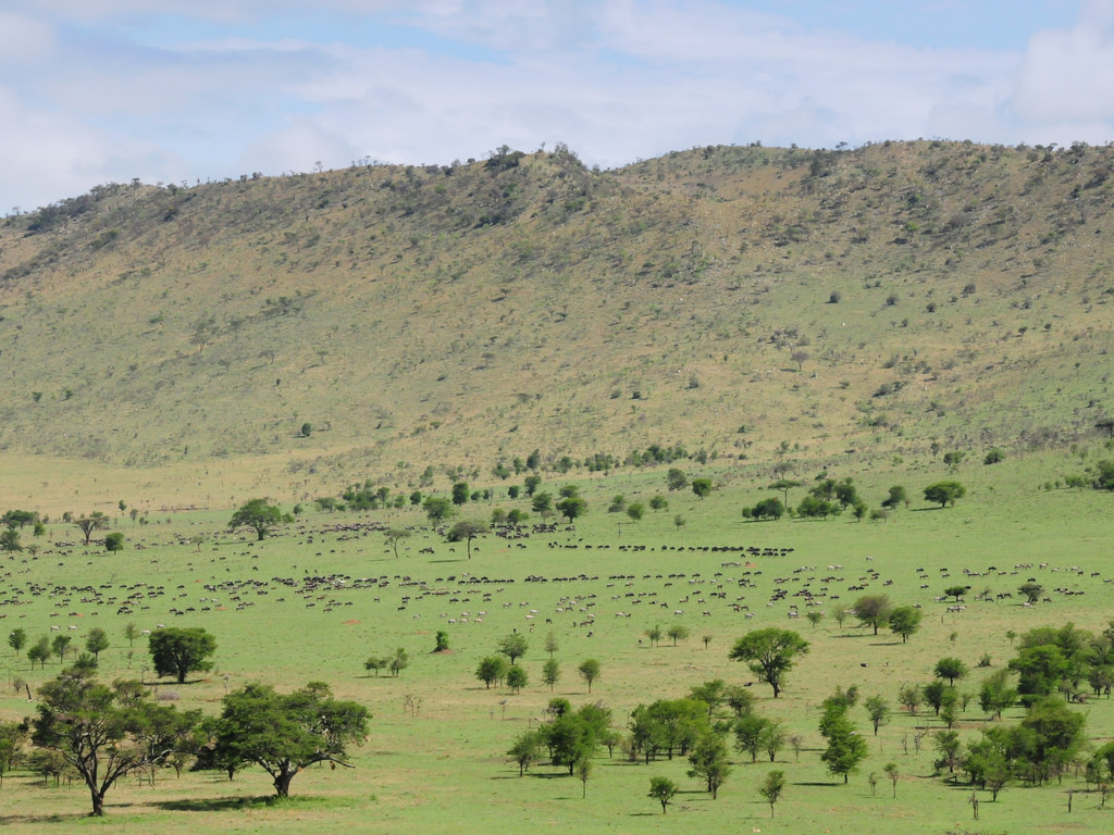 Serengeti Plains by VSmithUK, on Flickr