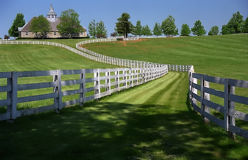 Lexington, Kentucky - Donamire Farm by David Paul Ohmer, on Flickr