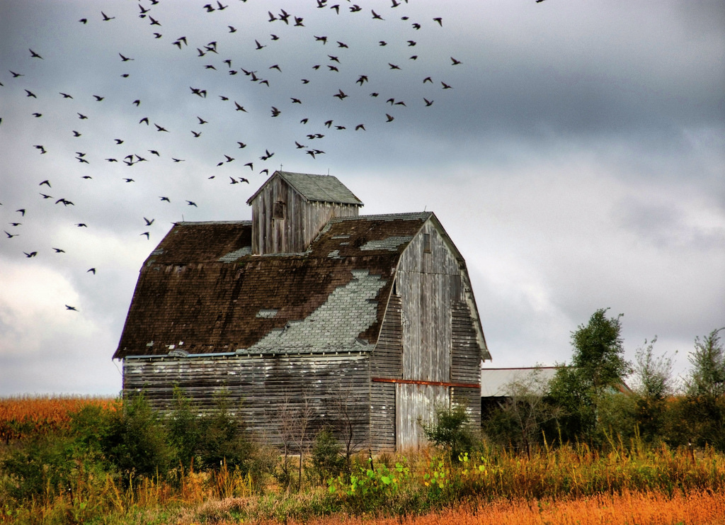 Farm Buildings by cwwycoff1, on Flickr