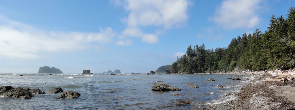 Olympic National Park Ozette coast by MiguelVieira, on Flickr
