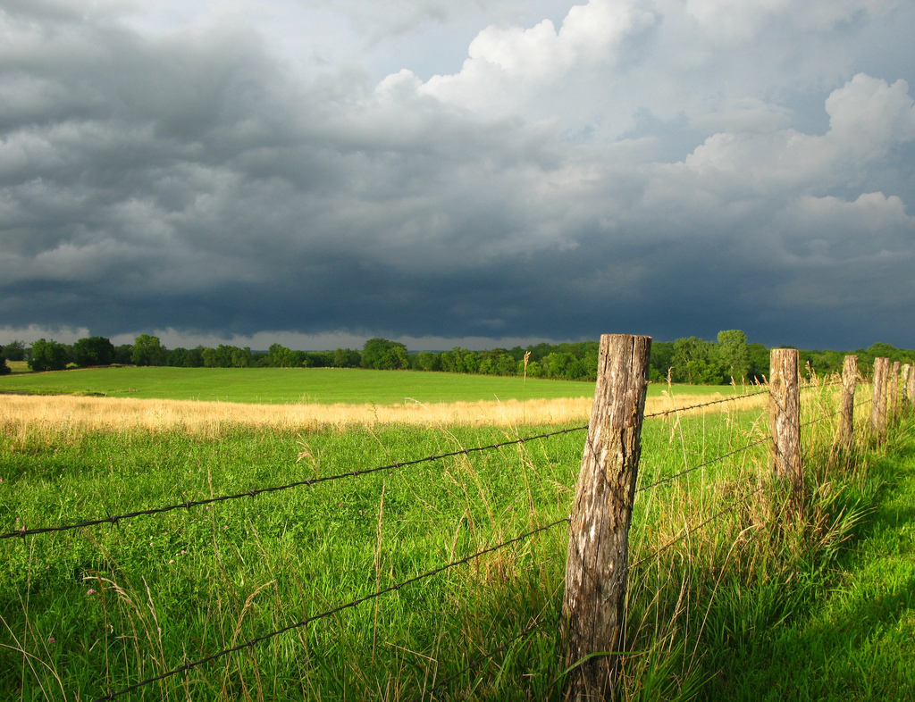Iowa Farmland by OakleyOriginals, on Flickr