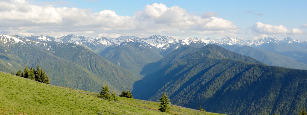 Olympic Mountains from Olympic National by MiguelVieira, on Flickr