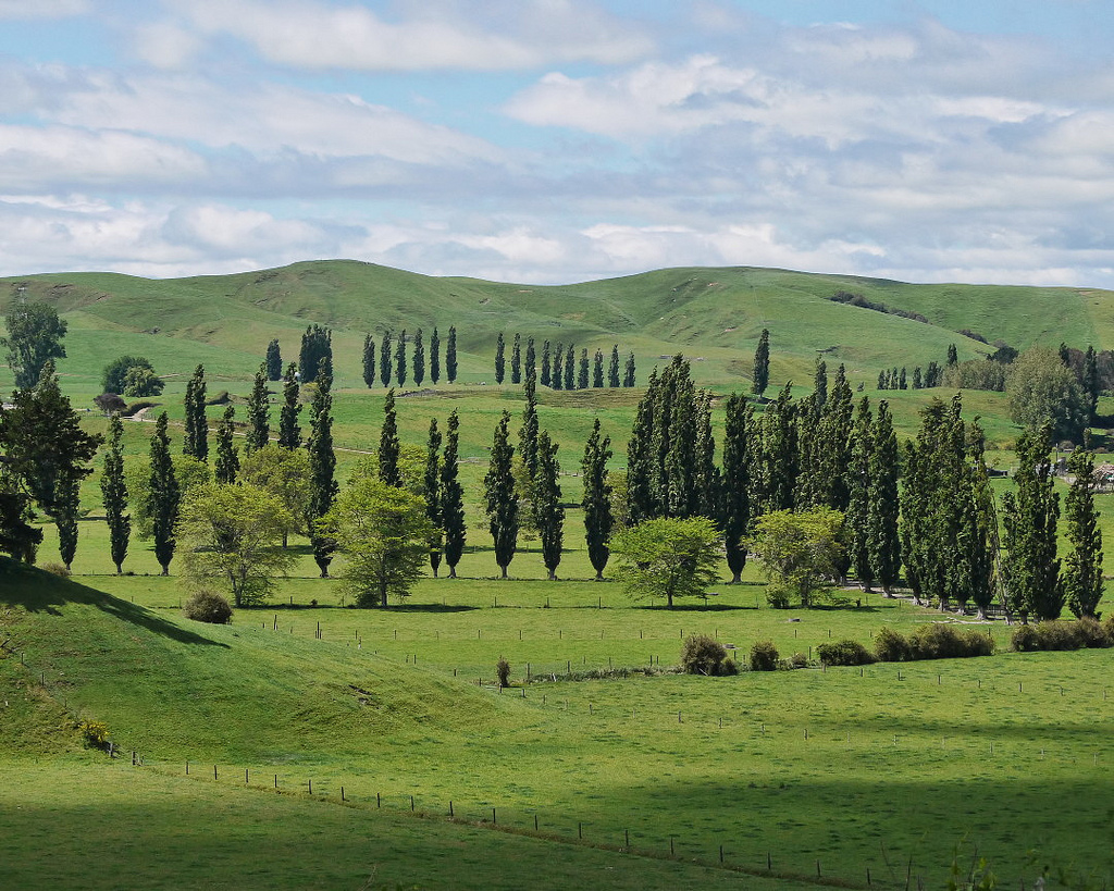 Waikato Countryside by SidPix, on Flickr