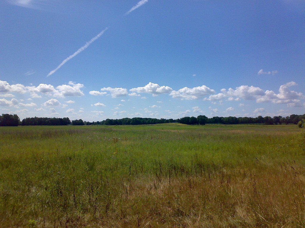 Grassland by www.rubenholthuijsen.nl, on Flickr