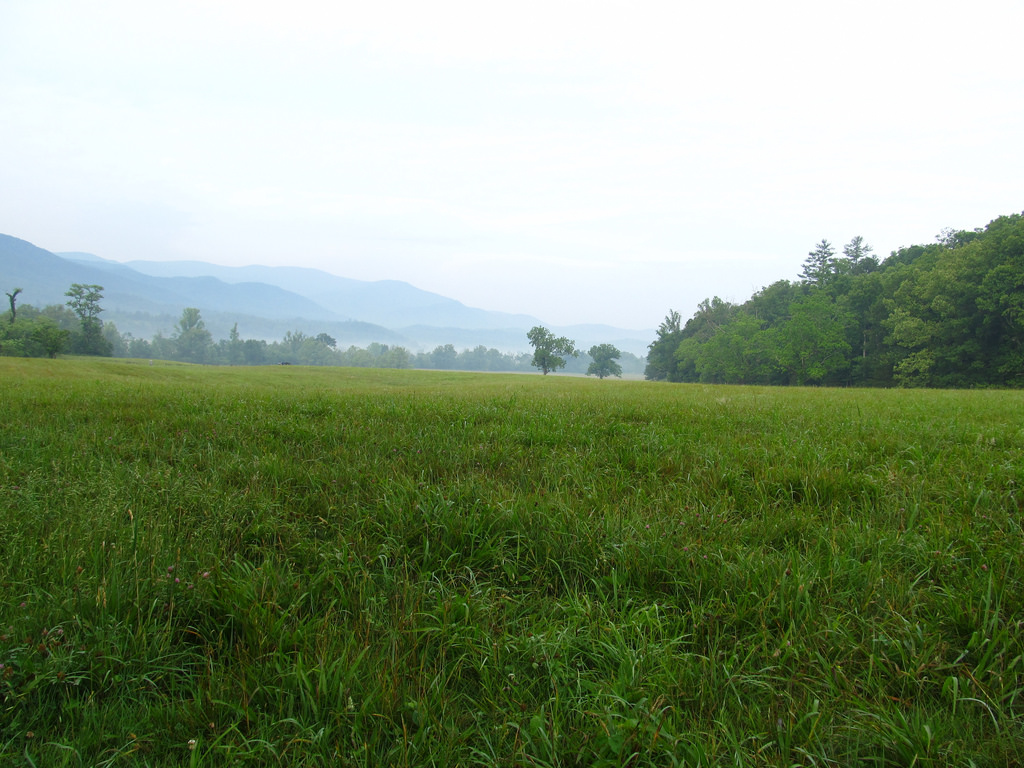 John Oliver Place, Cades Cove, Great Smo by Ken Lund, on Flickr
