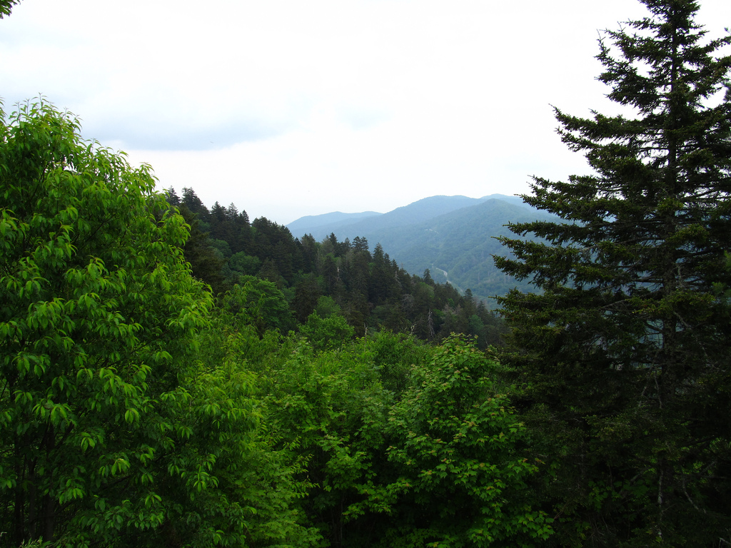 View of Great Smoky Mountains from Crest by Ken Lund, on Flickr