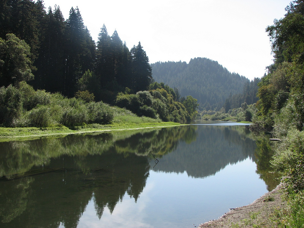 Russian River (Monte Rio) in the morning by hortulus, on Flickr