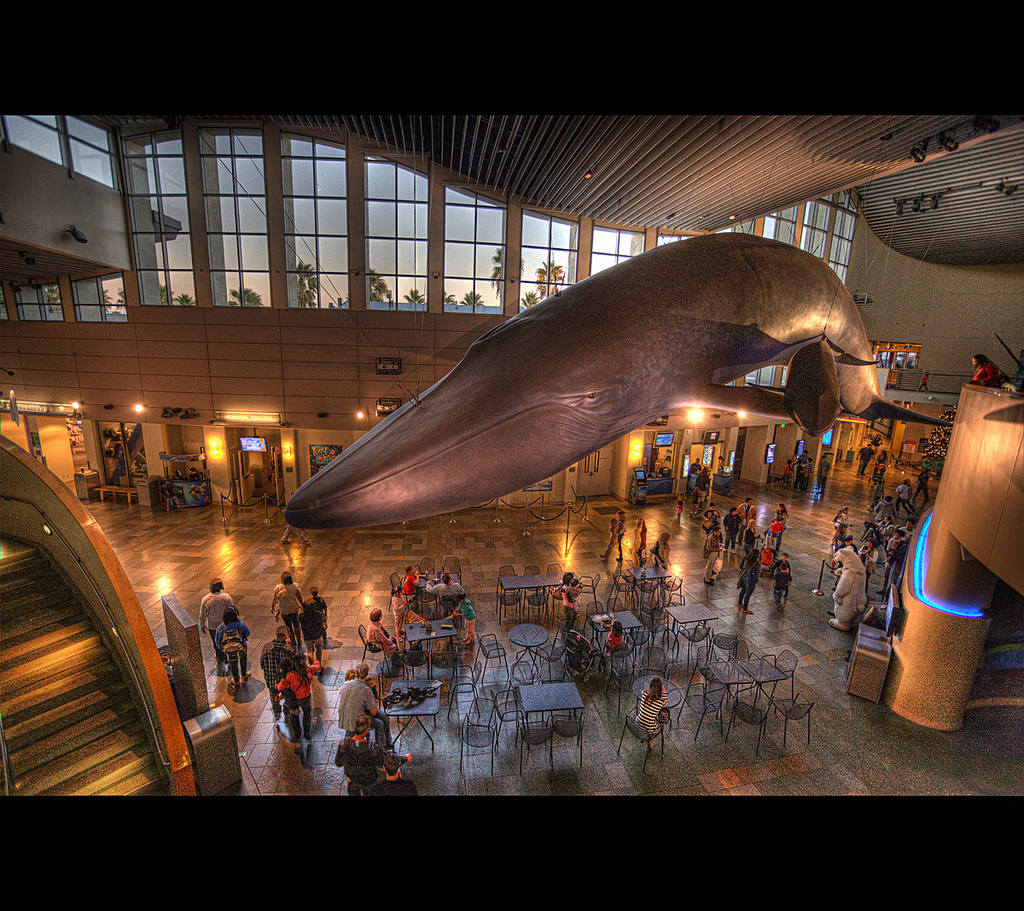Aquarium of the Pacific by Mustafa Sayed, on Flickr